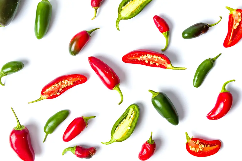 jalepenos-on-white-spicy-flavors
