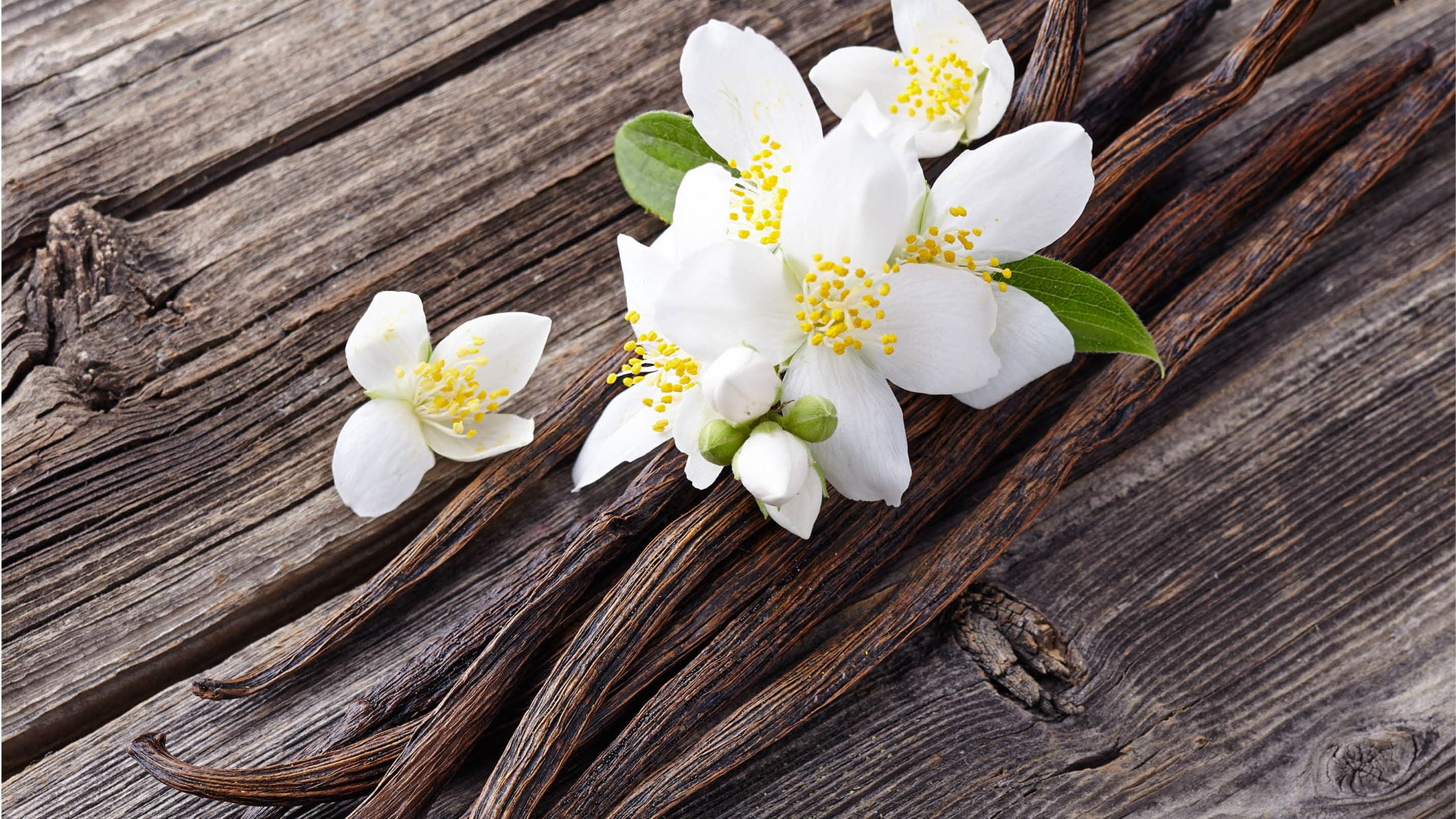 Salted-Vanilla_resize