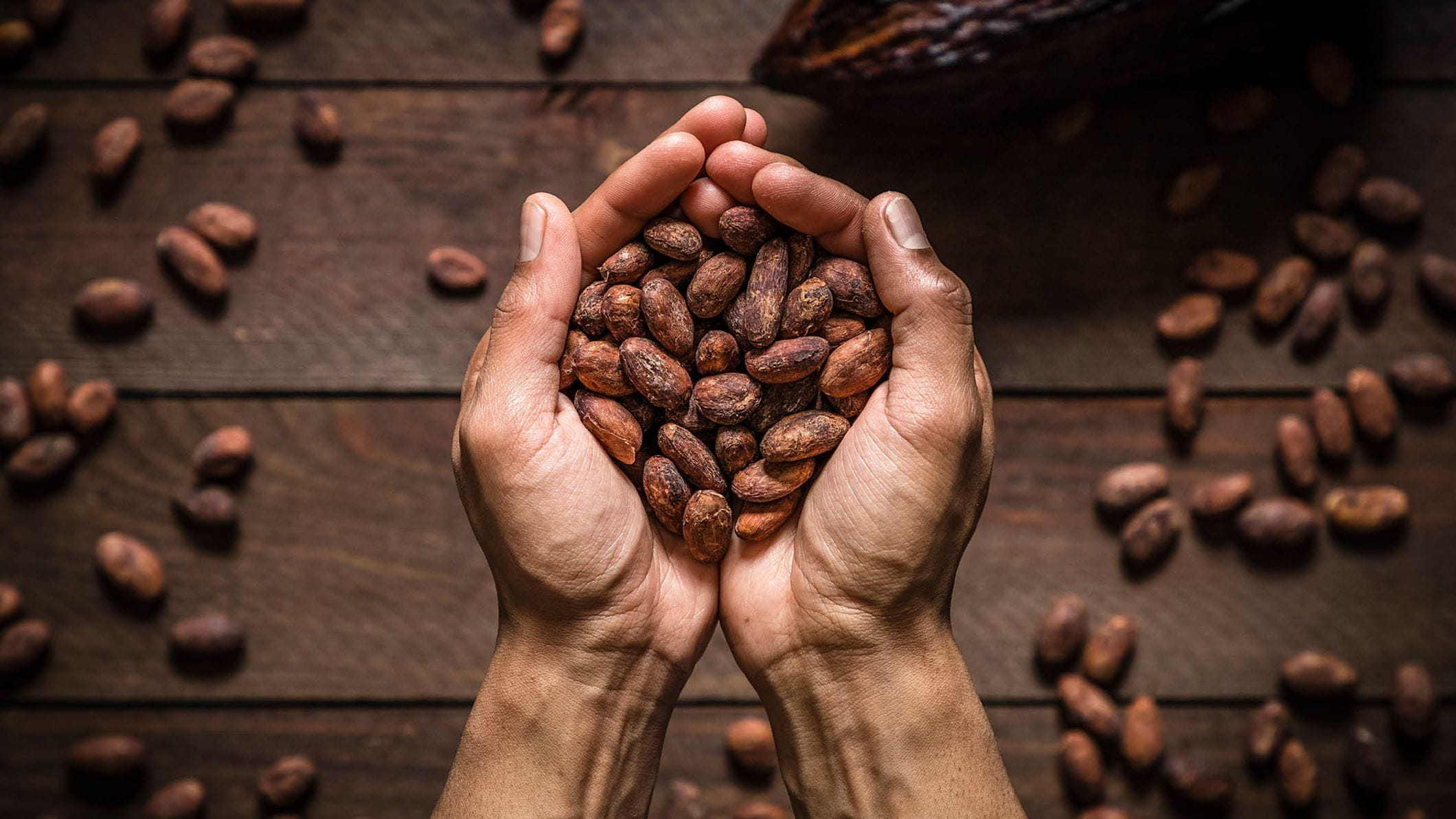 Header_Sitecore-Photo-Resize