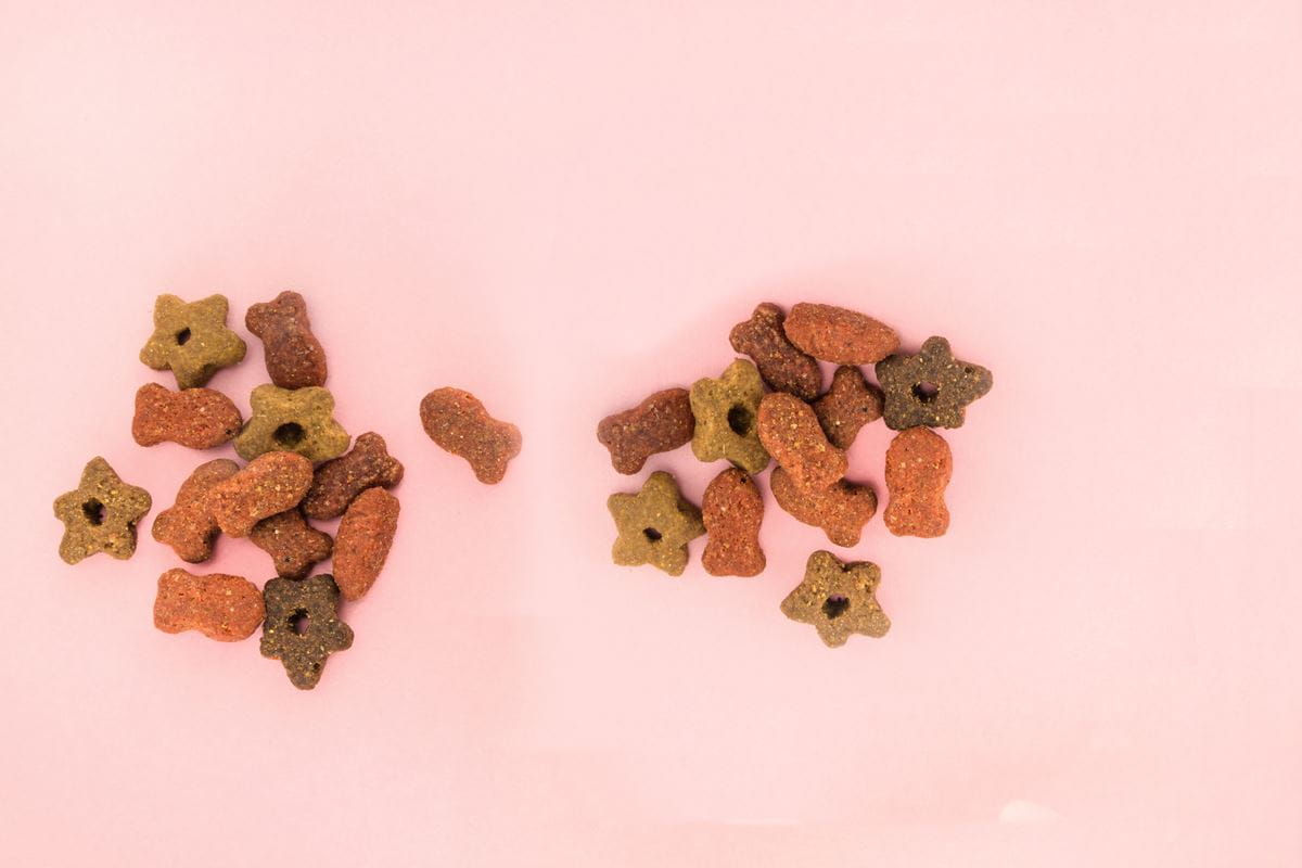 pet-food-bg