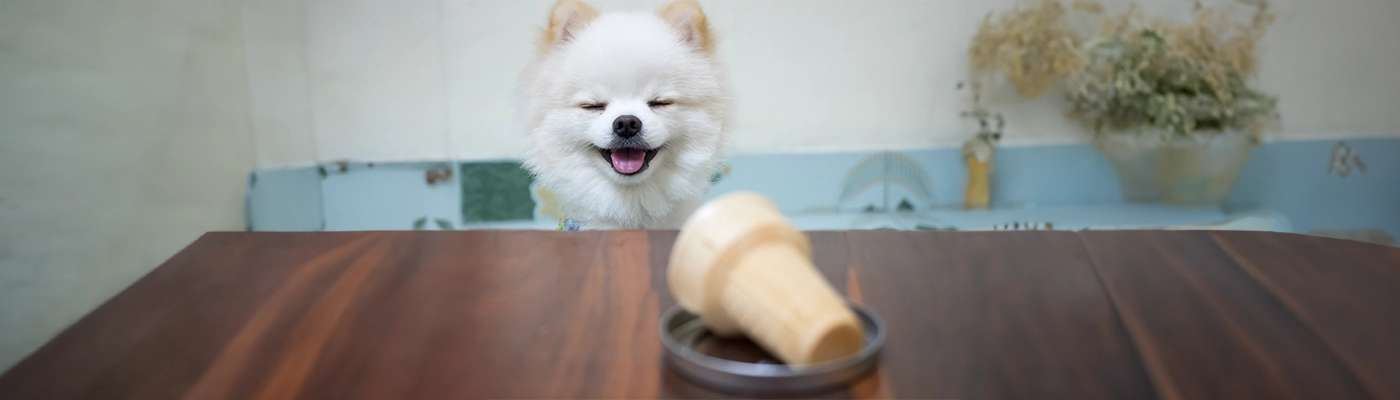 dog_with_icecream_cone